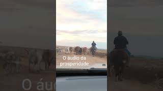 crescendo conta pequena
