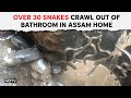 On Camera: Over 30 Snakes Crawl Out Of Bathroom In Assam Home