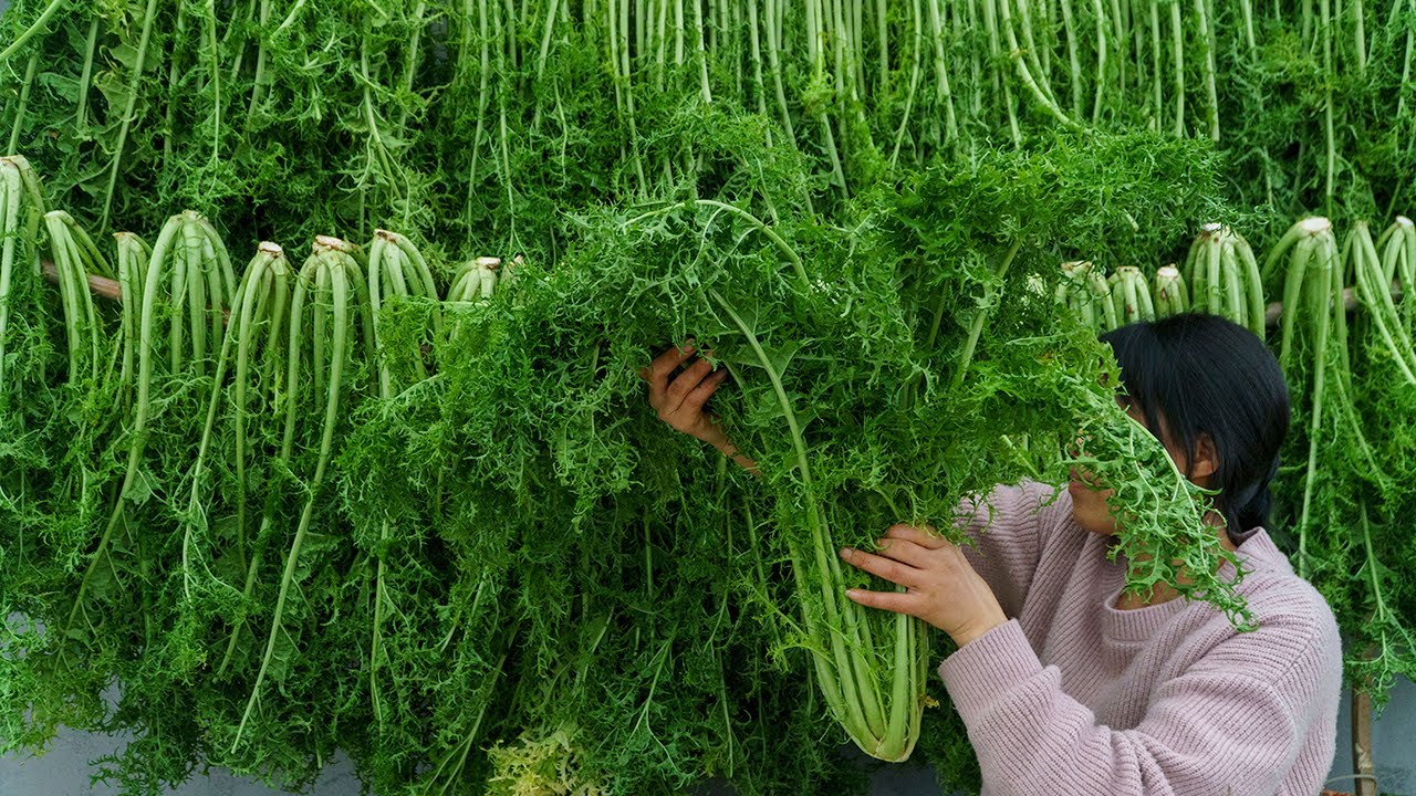 Green Vegetables Can Be Preserved For A Year And The Wait From Winter green-vegetables-can-be-preserved-for-a-year-and-the-wait-from-winter