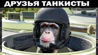 ДИНАМИКА В ТАНКИ ЭТО БОДРОСТЬ ЧЕРЕПАШЕК TANKS BLITZ #shooter #tanksblitz #приколы