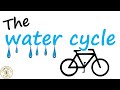 Understanding the Water Cycle