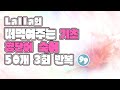 Lalla의 떠먹여주는 기초 영 단어, 숙어 50개 3회 반복 듣기 99.