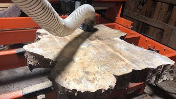 Surfacing one of our first live edge pieces with our new wood-mizer slab mizer slab flattener