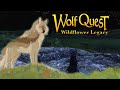 A Thistle In The Weeds🦬🌼 Wolf Quest: Wildflower Legacy #4 (Buffalo Plateau)