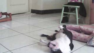 Happy Sleeping-20100719.avi