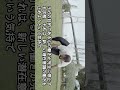 日本のヨガと違うヨーガスートラの心の教えとは 第3章第九節 Shorts Short ヨガ ヨーガスートラ ヨガの呼吸法 呼吸法 イメージワーク ストレス トラウマ 日本のヨガと違うヨーガスートラの心の教えとは 第3章第九節 Shorts Short ヨガ ヨーガスートラ ヨガの呼吸法 呼吸法 イメージワーク ストレス トラウマ