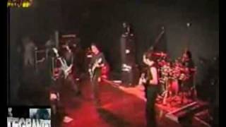 Charm Designer - Muse X