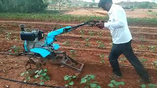 Best power tiller equipment in  karnataka  power tiller with suitable equipment in cotton plant net