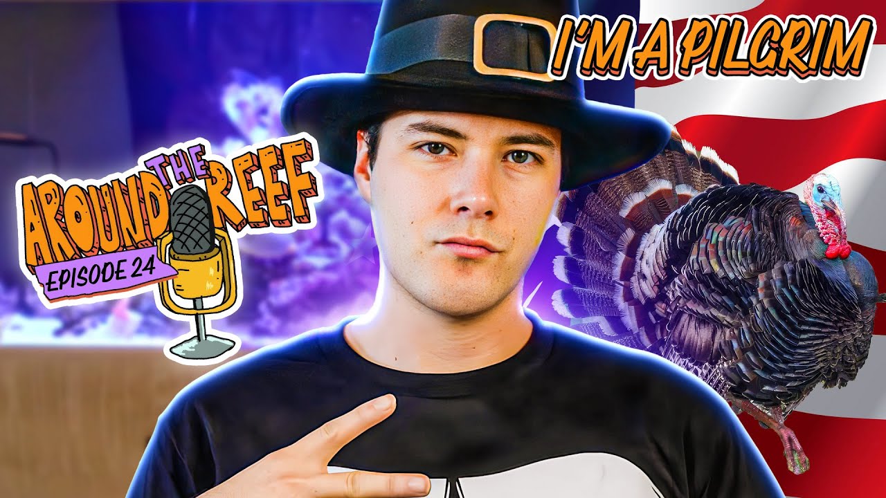 I'm a pilgrim! | Around the Reef | Ep. 24
