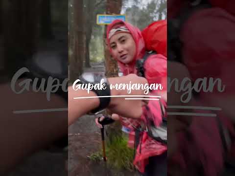 Subscribe ya 🫡 #nature #travel #lawu #pendakigunung #pendakiindonesia #pendakicantik