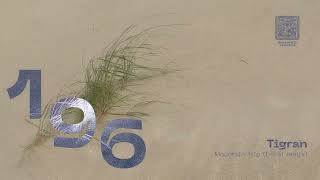 SHNG196 Tigran-Mountain Trip (Emrat Remix)