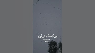 تلاوة هادئة تريح الأعصاب 💙🎧 | القارئ رعد الكردي - سورة الروم ⛅😍