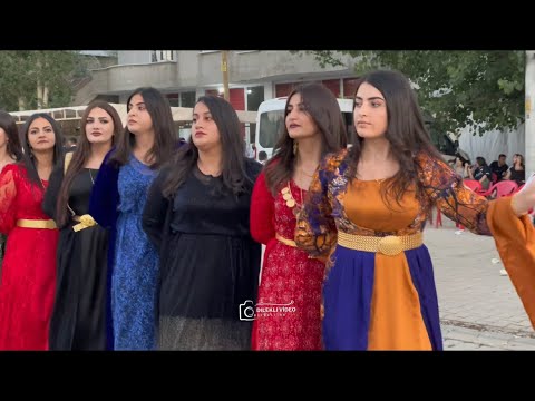 Dilekli Köyü Düğünleri Sezek Ailesi 2023 HD