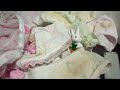 【午後のお洗濯】💞かわいいふわふわ🐇ウサギ🐰