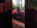 RTC RIVA Sing Along Maasai Rhumba 
