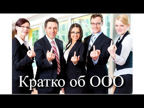 ООО или ИП? Часть 2: Общество с ограниченной ответственностью