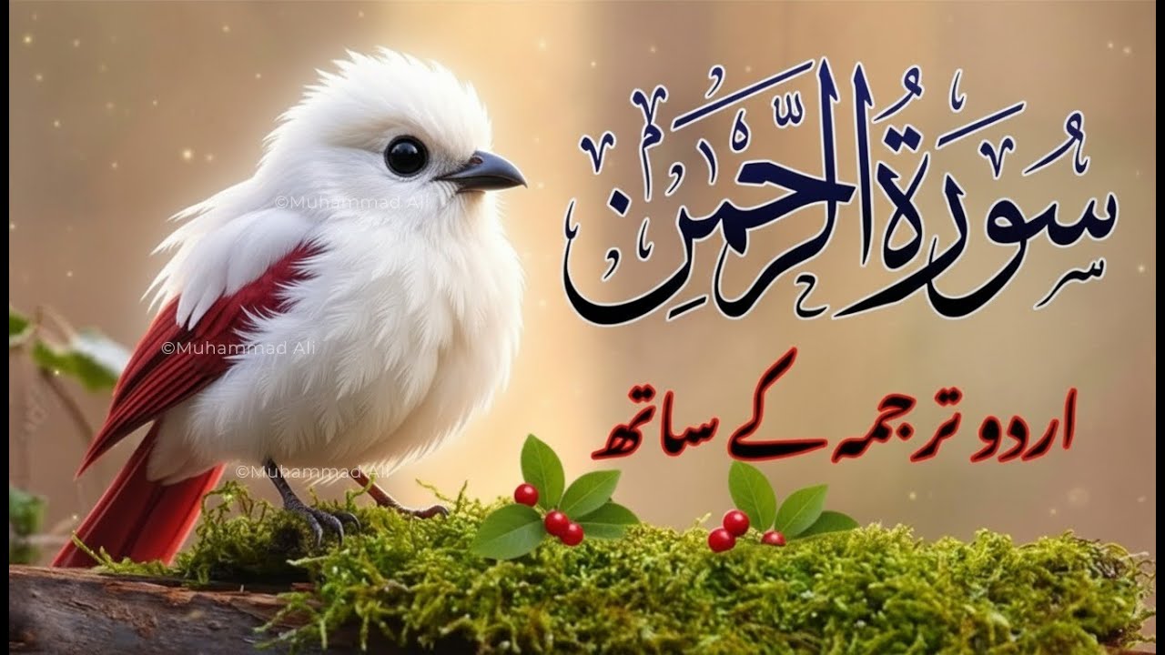 Surah Rahman Urdu Tarjuma k Sath | Qari Al Sheikh Abdul Basit Abdul Samad | QR Quran Recitation
