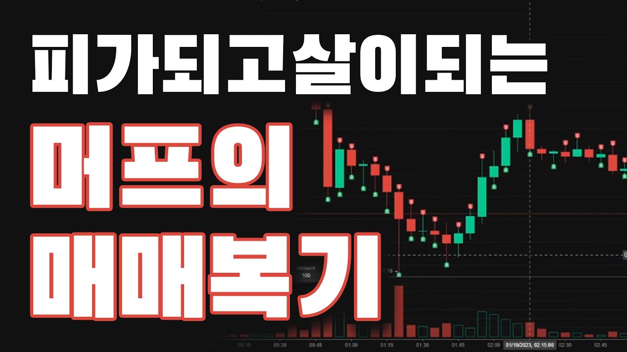 조정이 나왔을 때 트레이딩 하기