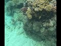 Great Barrier Reef - April 2026