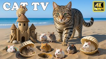 🔴 Cat TV for Cats – Real Mice Running! Ultimate Mouse Chase Video to Make Cats Happy All Day🐱