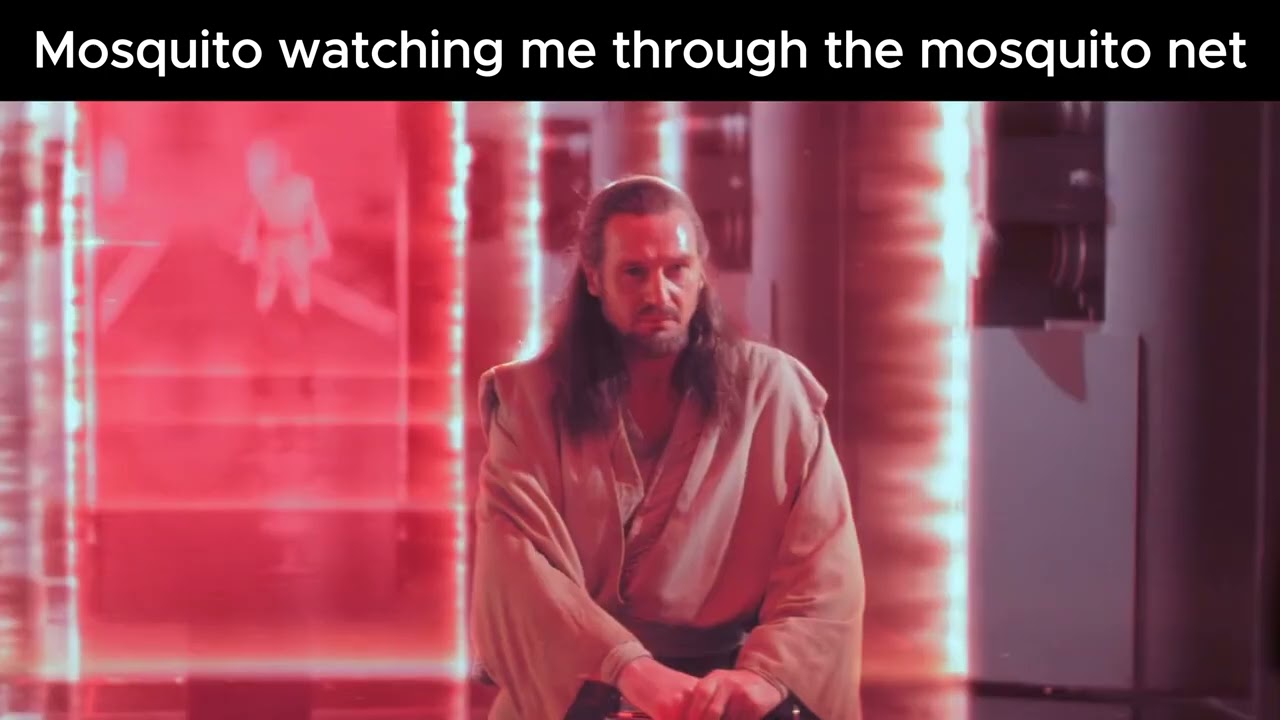 Mosquito watching me #starwars #memes #fyp