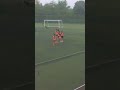 ライブ ハイライト