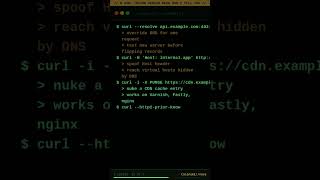 5 curl Tricks Senior Devs Don't Tell You