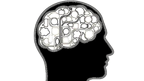 Noam Chomsky - Universal Grammar II