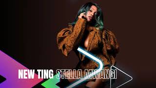 Stella Mwangi - New Ting (Official Audio Visualizer)