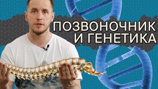 Плохие гены? НИЧЕГО СТРАШНОГО! | Как работает ГЕНЕТИКА ПОЗВОНОЧНИКА