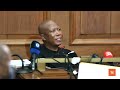 We are not visitors, this is our continent | Malema