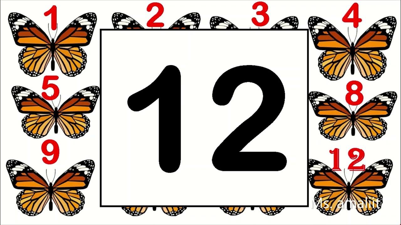 the-number-11-and-12-youtube