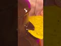 глубокие чипсы в шоколаде