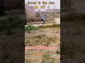 Ladki Deewani  Neelkamal Singh | Sunny Leone | R Jay Kang | Ashutosh | #new#trending #song #viral