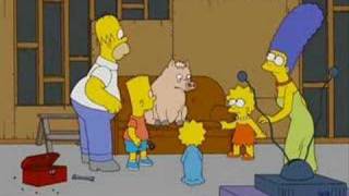 The Ultimite Spider Pig