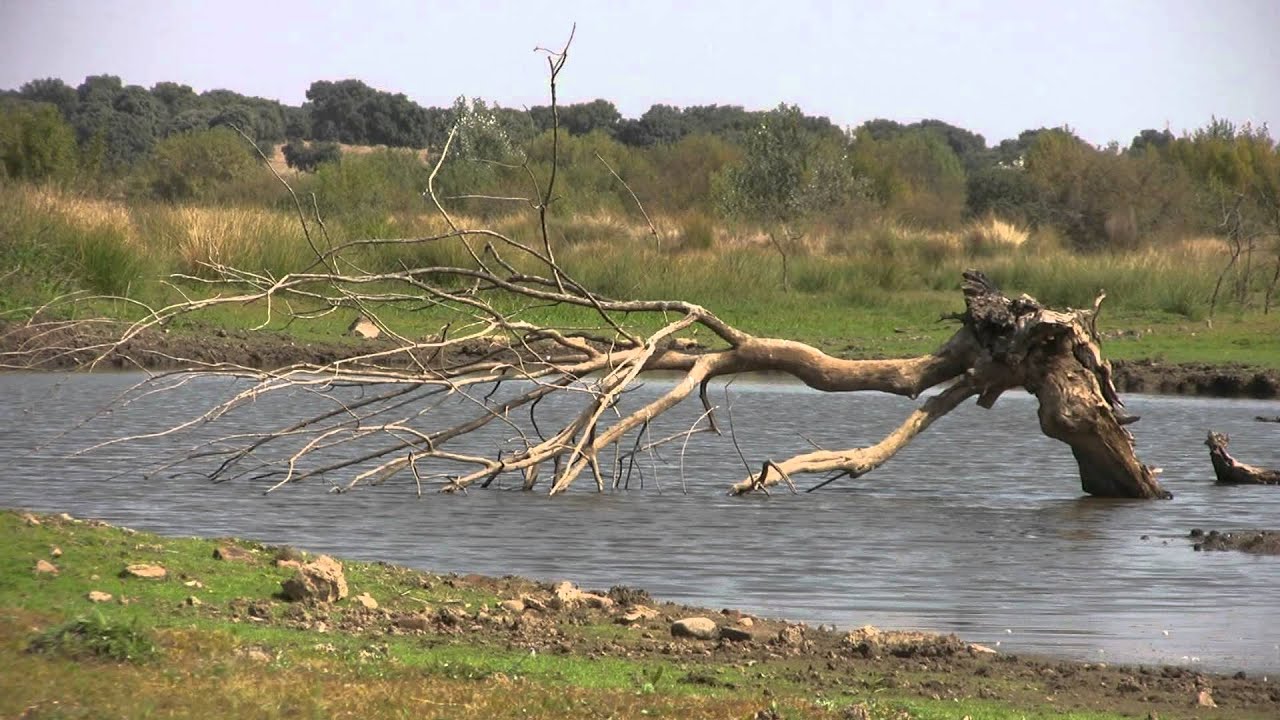 Embalse Los Canchales