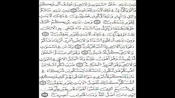 الثمن 324 - الحزب41_ سورة الروم