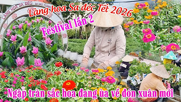 Ngập tràn sắc hoa đang ùa về làng hoa Sa đéc đón tết 2026 và festival lần 2