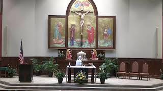 Holy Mass - July 6, 2026