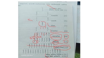 Hierarchy-Principles of Organization पदसोपान