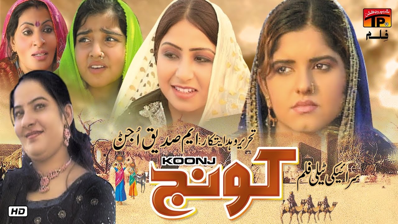 Koonj New Saraiki Action Movie | Action Movies 2019 | TP Film