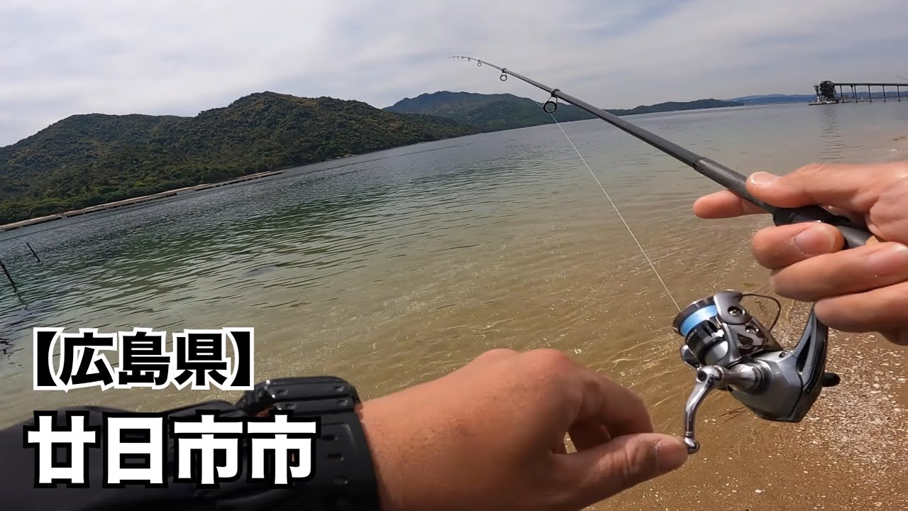 Hiroshima Fishing] May Whiting Fishing Survey 🎣 Should I go to a