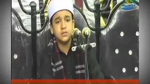 تألق/وابداع/وفن/جوابات صاروخيه بصوت القارئ الشيخ محمد رضا قابيل من الله القبول ولكم حسن الاستماع ❤❤