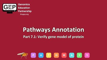 GEP | Pathways Gene Annotation Part 7.1 - Verify gene model of protein
