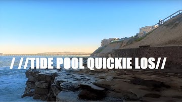 / //TIDE POOL Quickie // LOS NanoHawk x Caddx Peanut/ insta360 go2