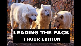 Leading The Pack by Sam Tinnesz [1 hour]