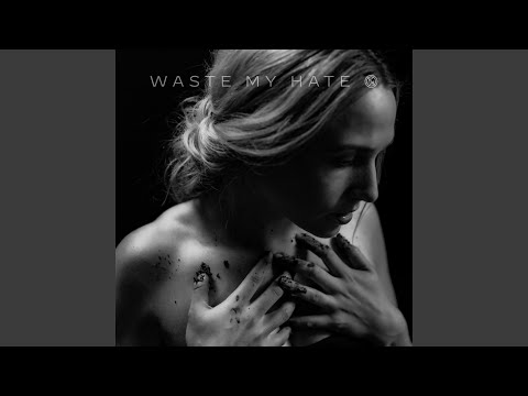 Waste My Hate - Icon For Hire