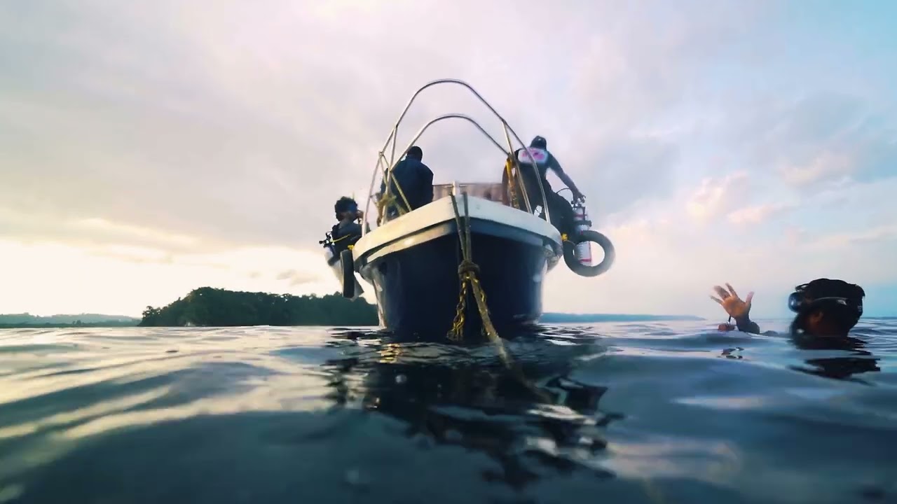 Divers underwater on the reef at Havelock Island with The Dive Master