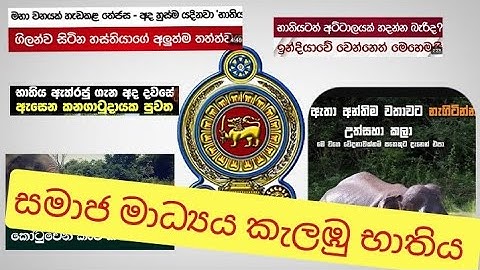 Batiya elephant | ™ඇත්තටම භාතියට මොකද වෙන්නේ - රාජ්‍ය මැදිහත් උනාද ? අපි භාතිය සොයා ගිය ගමන