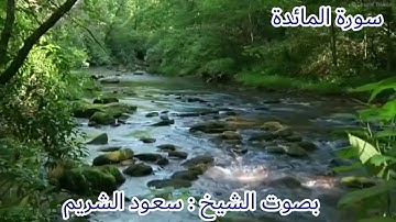 سورة المائدة بصوت الشيخ سعود الشريم